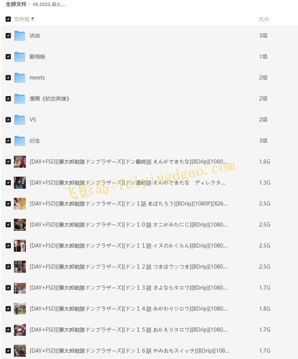 《暴太郎战队》[百度/夸克网盘下载]日剧[4K高清/中日双字幕]