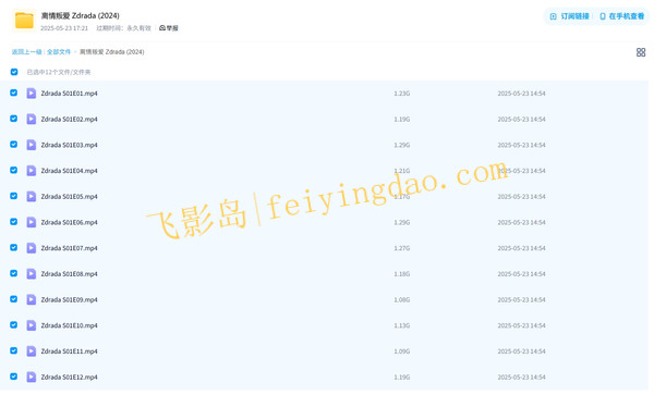 《媒人手册》[百度/夸克网盘下载]美国玛丽苏电影[4K高清/BT磁力链接]